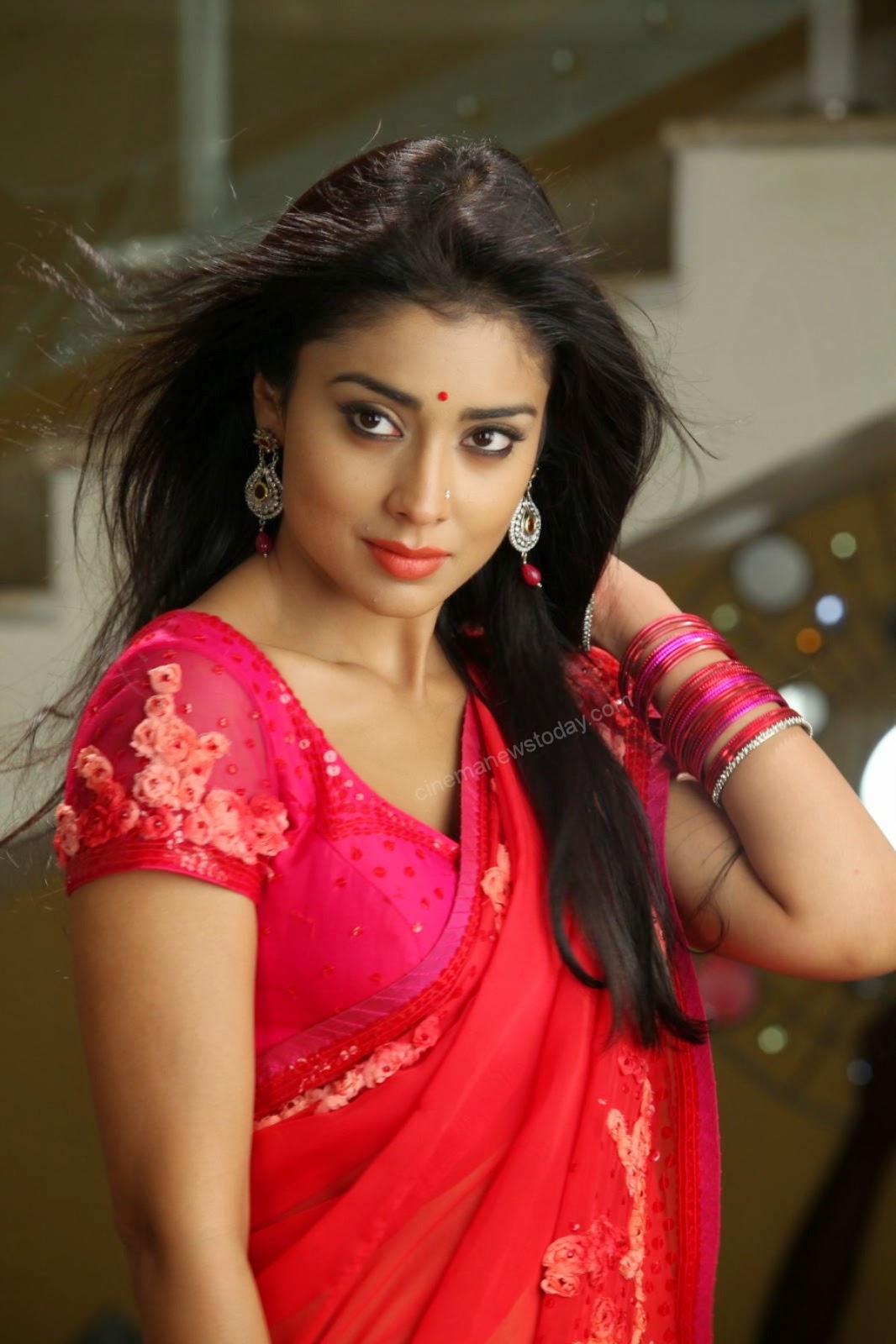 south indian Shriya Saran salary, Income pay per movie, she is Highest Paid in 2015