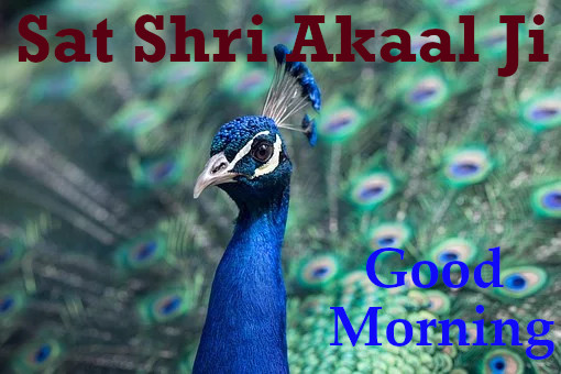 Sat Shri Akaal Ji Good Morning