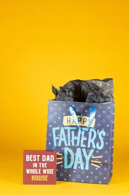 Father's Day gift bag and card