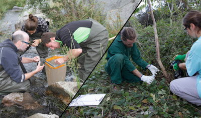 http://www.unzooencasa.com/2016/01/cen-associacio-conservacio-ecosistemes-naturals.html