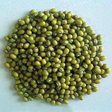 khasiat kacang hijau