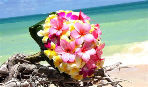 Tropical Wedding Flowers