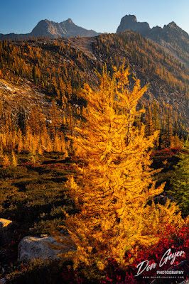 Image of Cutthroat Pass in Fall