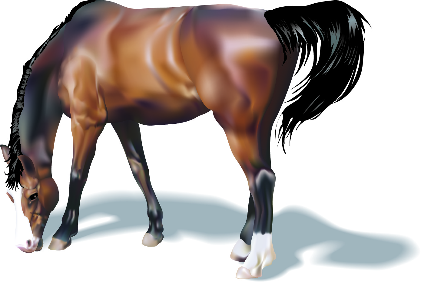 Download Vectorian art: Horse Real Vectorfree download, free ...