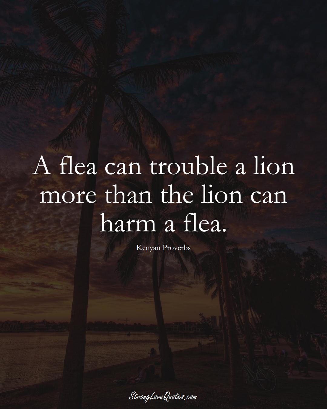 A flea can trouble a lion more than the lion can harm a flea. (Kenyan Sayings);  #AfricanSayings