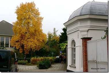 11-P1350092