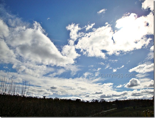 orchard2