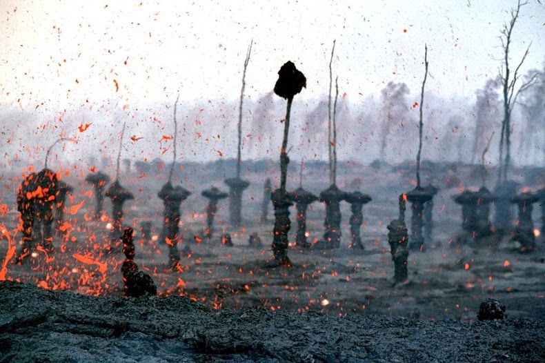 lava-trees-1