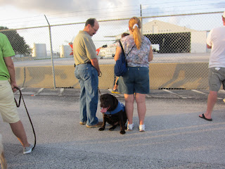 Bobby, a big chocolate lab, has decided he doesn't care and turned his back on the helicopter.