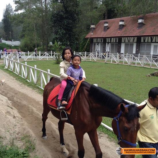 The Paddock Bukit Fraser, Raub, Pahang