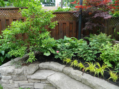 New Backyard garden perennial bed in Wychwood After by Paul Jung Gardening Services--a Toronto Gardening Company