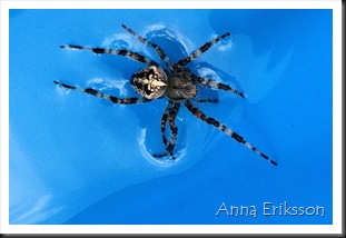 20110813-058