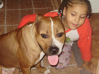 In Our Hands Rescue Josie I Need A Furever Home