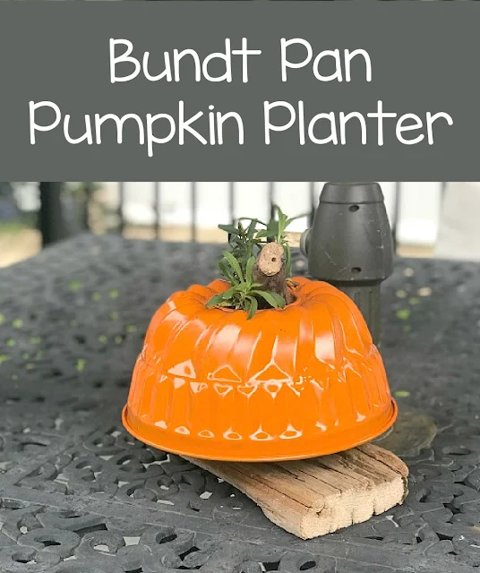 pumpkin planter on table with overlay