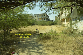 tharmal colony new kandla old is gold