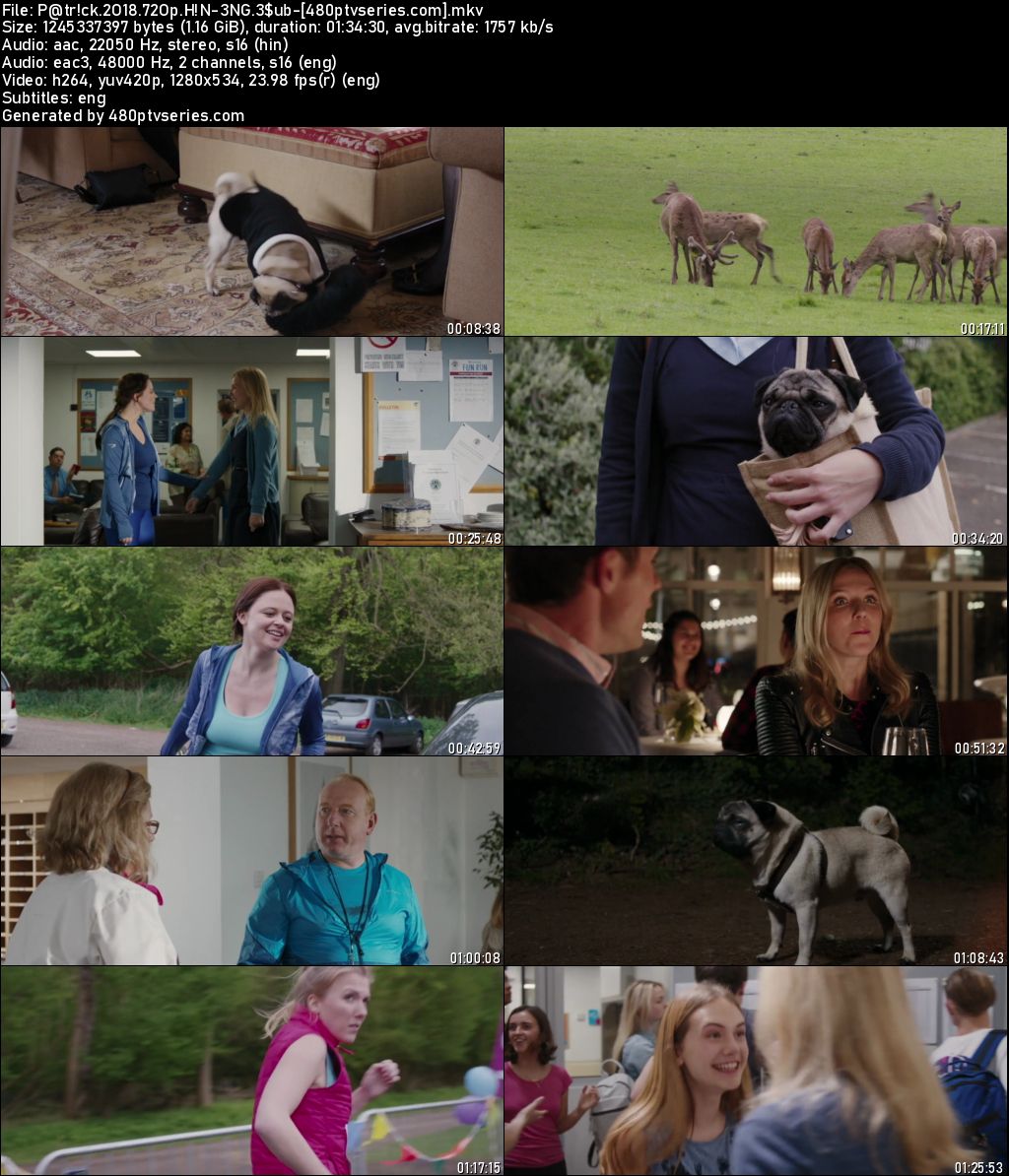 Watch Online Free Patrick the Pug (2018) Full Hindi Dual Audio Movie Download 480p 720p BluRay