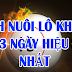 Hướng dẫn cách nuôi loto khung max 3 ngày hiệu quả