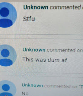 screen capture of spam comments from anonymous posters. They say STFU and this was dum af, and no