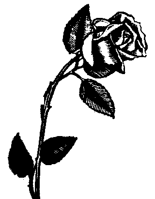 black and white flowers clipart. clip art flowers black and