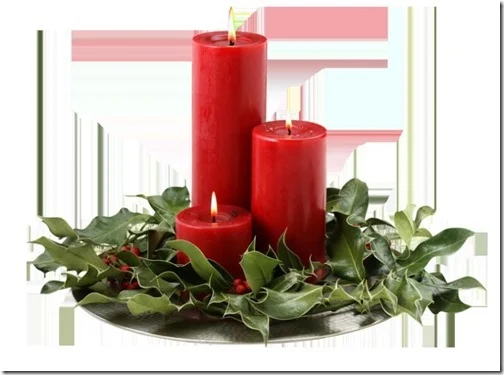 fotos de velas de navidad (15)
