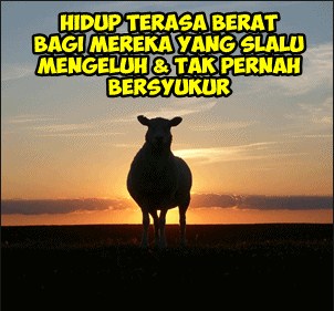 Lihat Dp Bbm Kata Bersyukur Pagi Hari 2016 01 23t02 44 di 