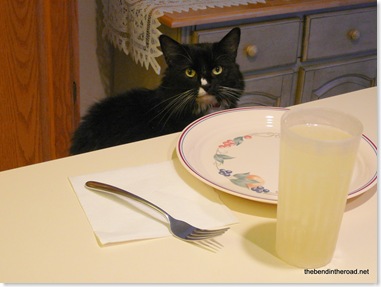 the cat who came to dinner