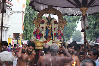 Ekadesi,Vaigasi, Purappadu,Video, Divya Prabhandam,Sri Parthasarathy Perumal, Triplicane,Thiruvallikeni,Utsavam,