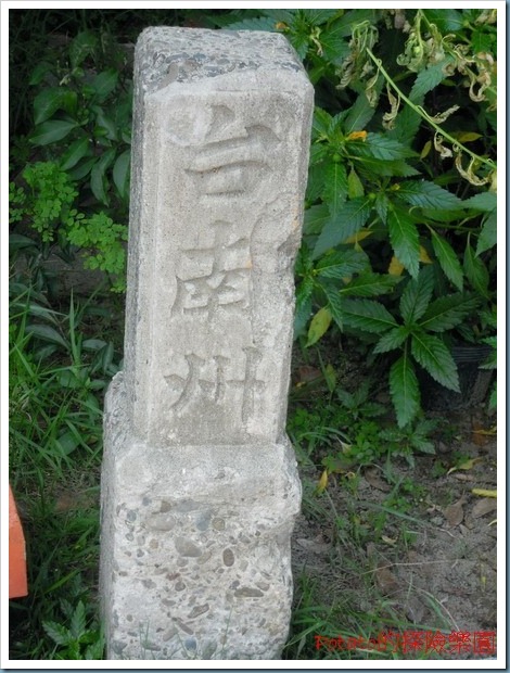 DSCN7501