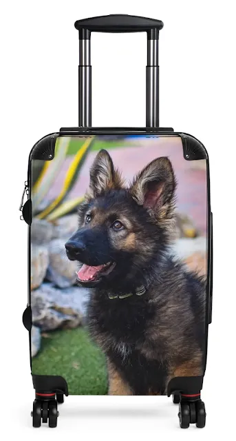 Travel Suitcase With European Black Sable, Plush Coated German Shepherd Puppy