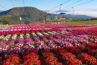 Chausuyama Kogen Highland