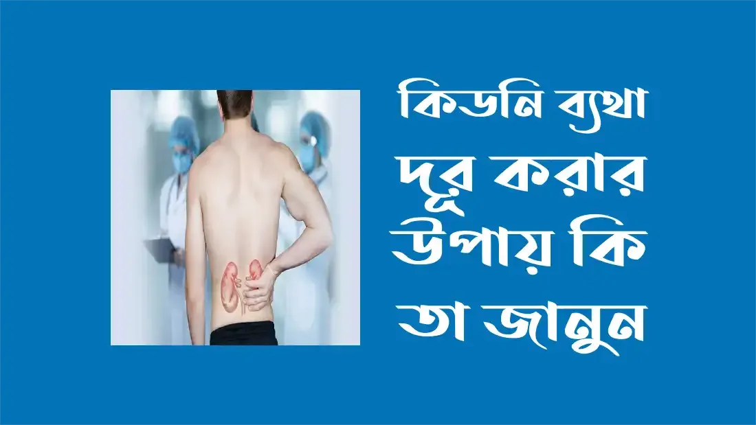 কিডনি ব্যথা দূর করার উপায়