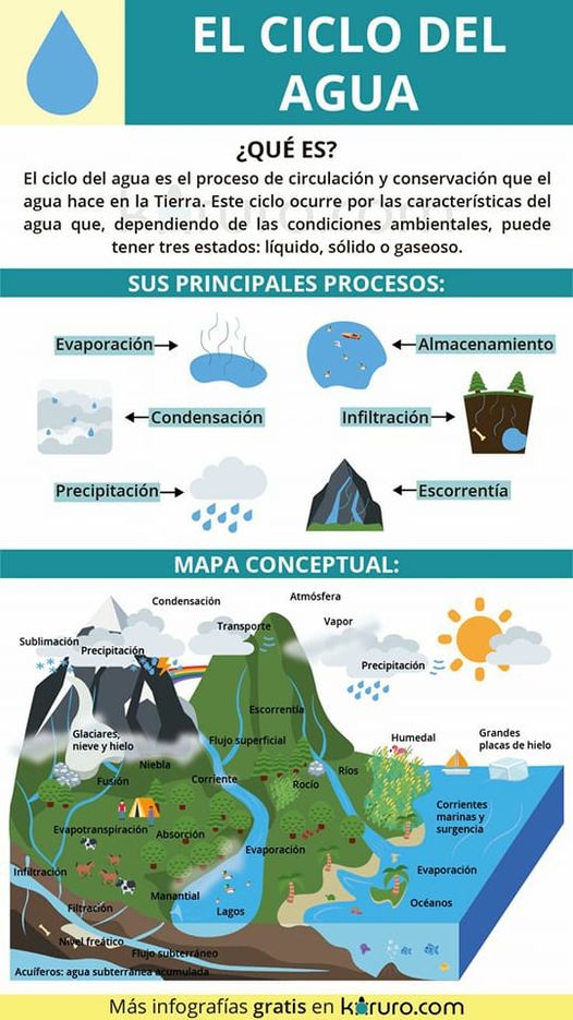 El ciclo del agua para niños