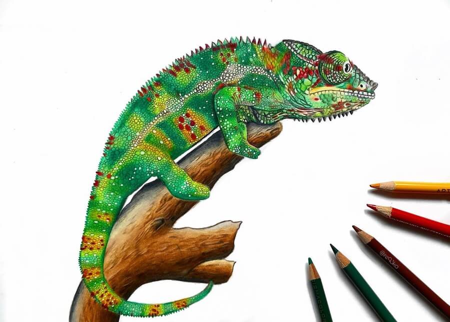 03-Colourful-chameleon-Pencil-Drawings-Réka-Gyányi-www-designstack-co