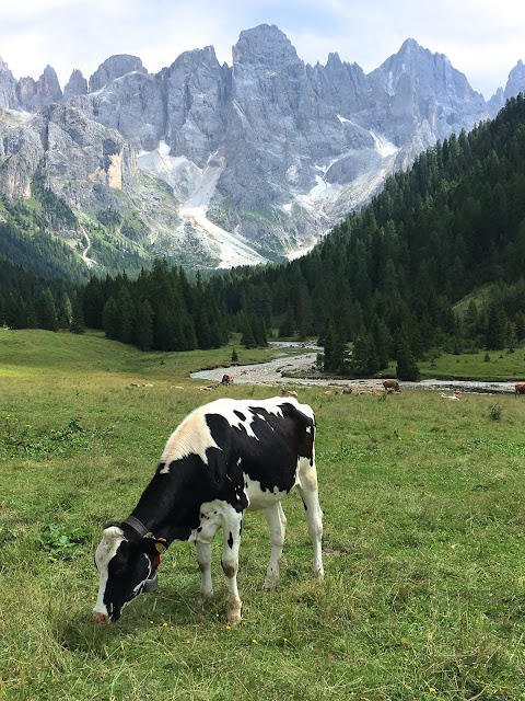 Val-Venegia-Dolomiti