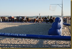 29-DSC_8112