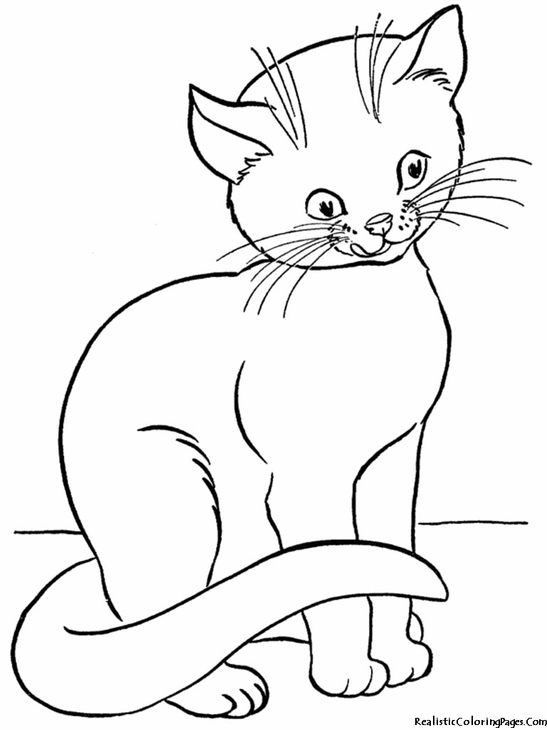 Download Realistic Coloring Pages Of Cats | Realistic Coloring Pages