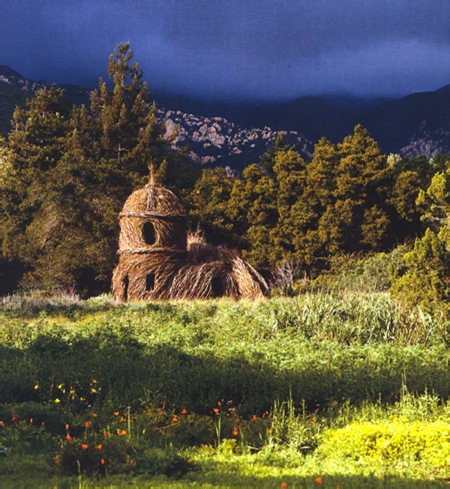natural architecture 07