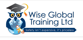 Wise Global Traning LTD logo