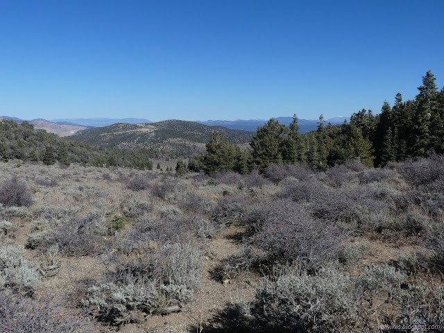 080: trail through the sagebrush