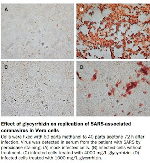 High concentrations of glycyrrhizin 
(4000 mg/L) completely blocked replication of the  SARS-associated coronavirus in Vero cells, upload by Jonadoctor Health And Business