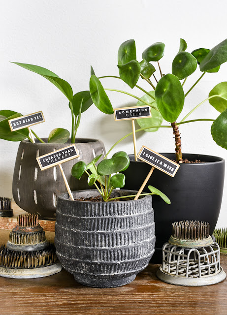 DIY funny plant labels, diy gifts