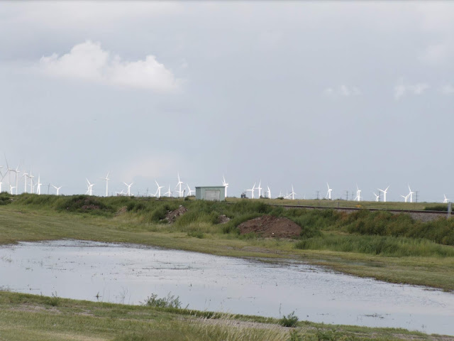 behind a wet weather pond and RR track you see wind turbines