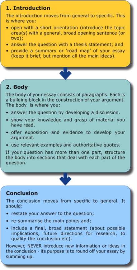 Writing an Essay Example