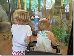 zoo 16 months 021