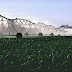 Smart Irrigation – Advanced Systems Project Amount of Water Required During a Particular Period