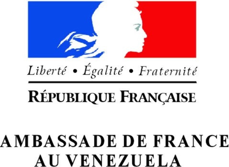 EL TOPOCHO FRANCÉS un venezolano a Francia: 18. VISA DE 