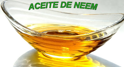 aceite de neem