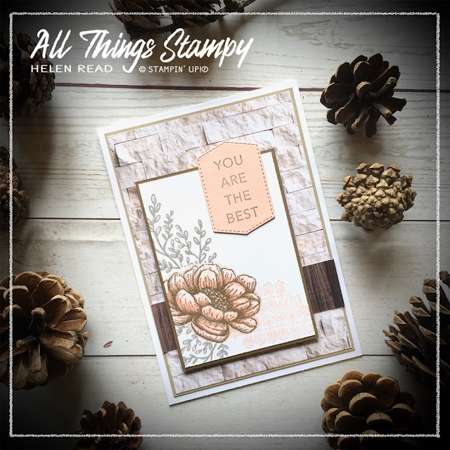 Stampin Up In Good Taste Suite Tasteful Touches Allthingsstampy