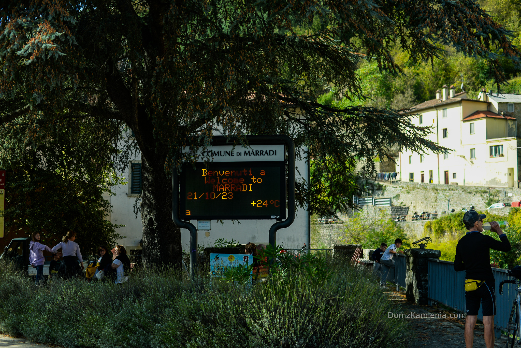 Mostra Mercato del Marron Buono di Marradi 2023,