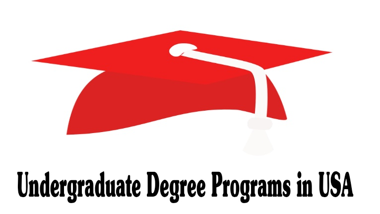 Undergraduate Degree Programs in USA